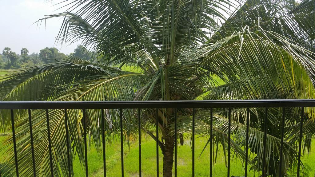 Hotel Serene View Tourist Rest Anuradhapura Exterior foto