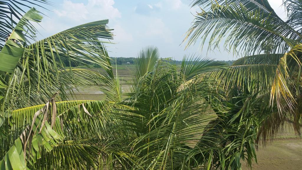 Hotel Serene View Tourist Rest Anuradhapura Exterior foto