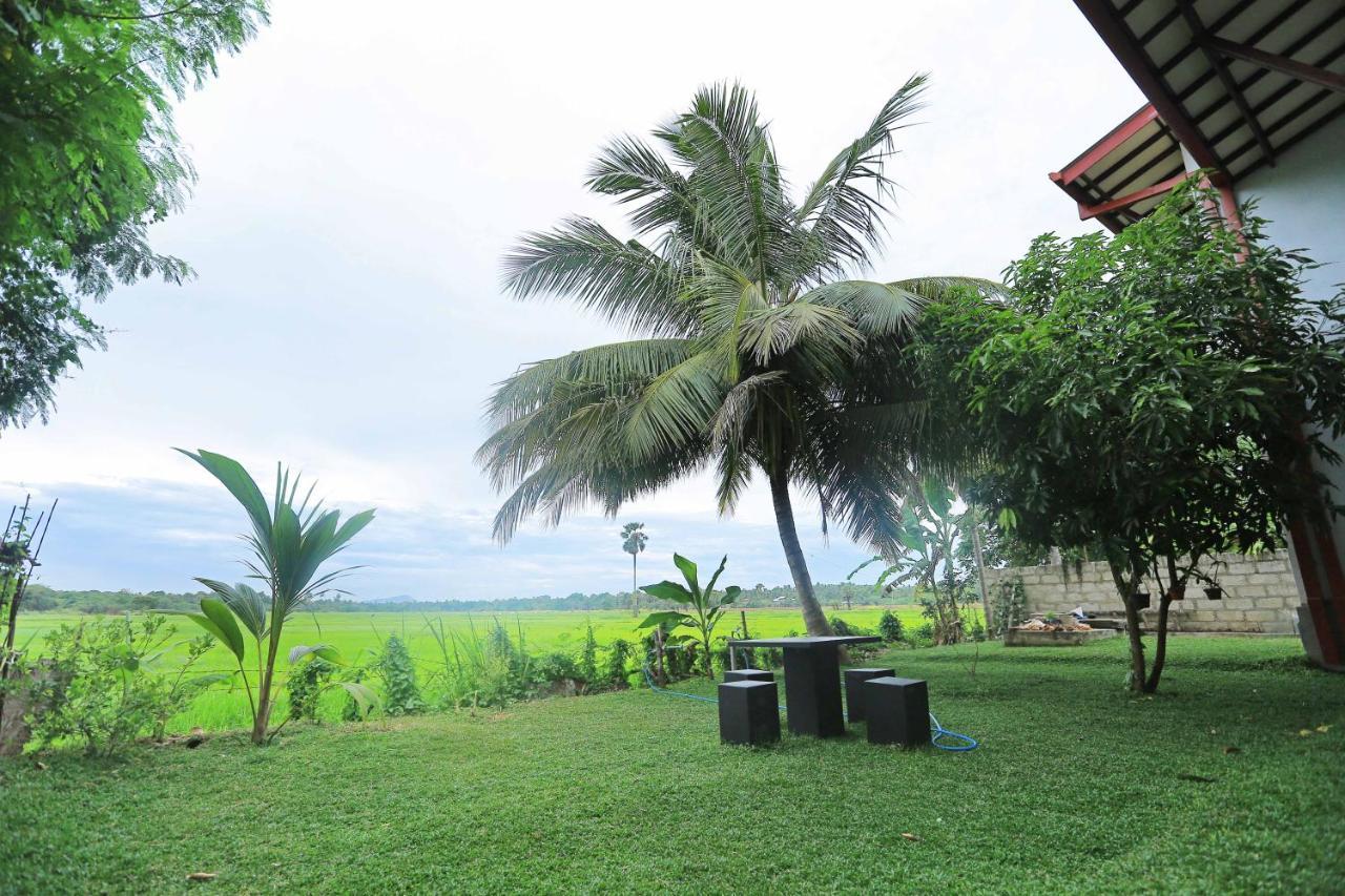 Hotel Serene View Tourist Rest Anuradhapura Exterior foto